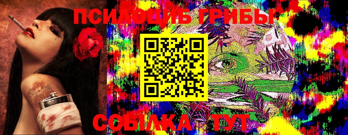 Красногорск  Псилоцибиновые грибы мухоморы  Вход с VPN 