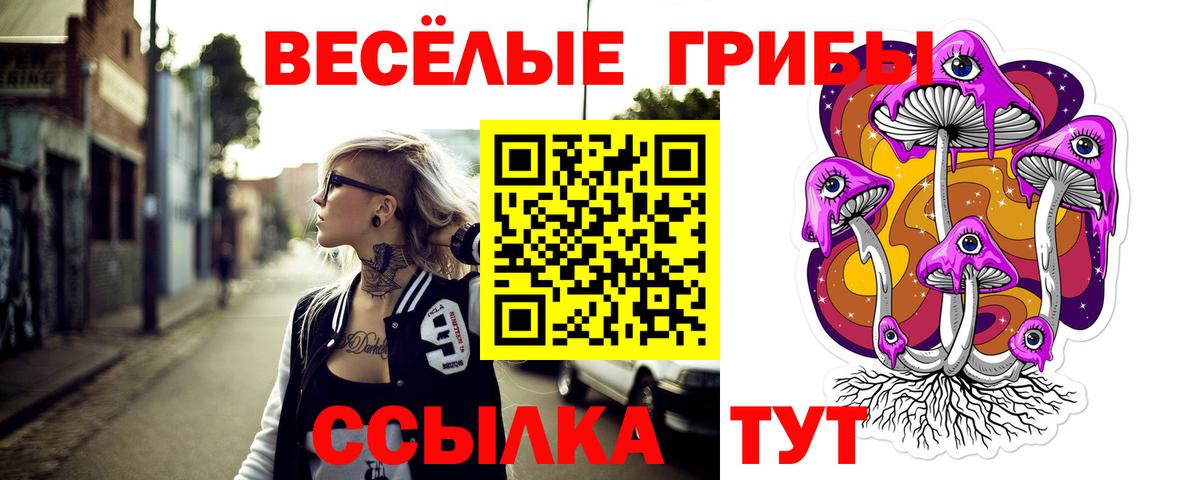 Галлюциногенные грибы Psilocybe Красногорск